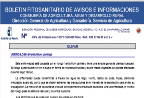 Boletín fitosanitario