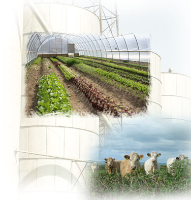 Calidad diferenciada