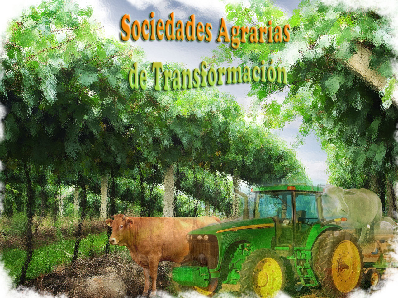 Sociedades agrarias de transformación
